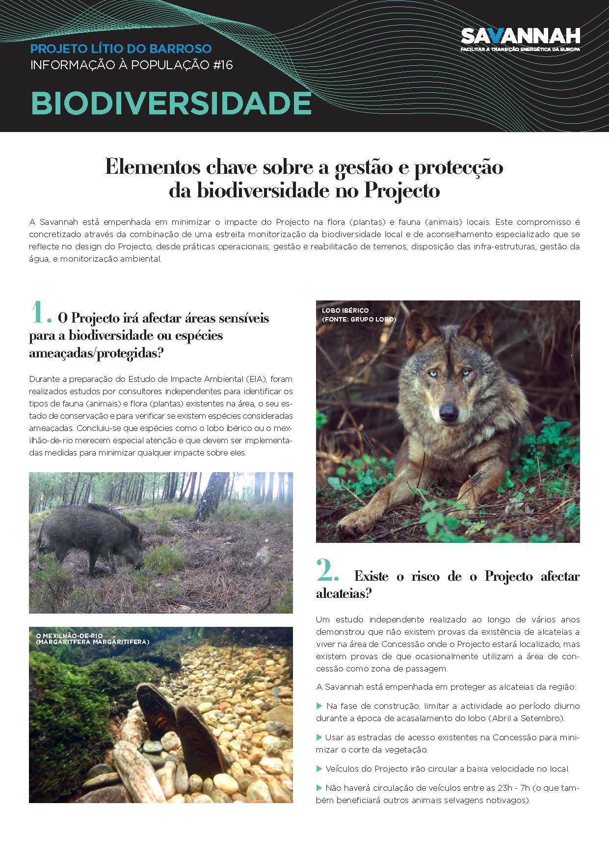 16.Biodiversidade