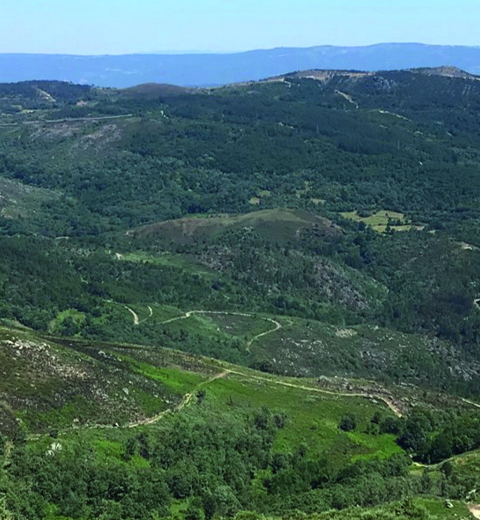 Local Landscape thumbnail image