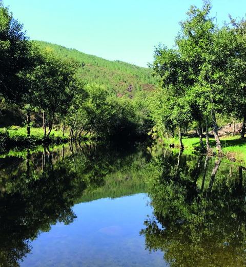 Covas River thumbnail image