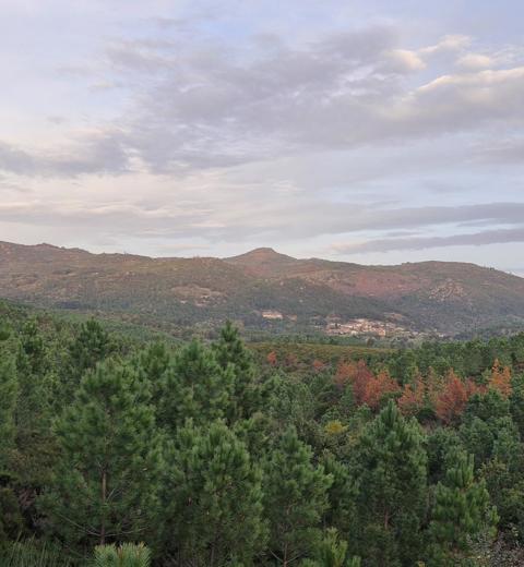 Savannah Resources rejects the accusation from the mayor of Boticas and assures that fieldwork is ongoing in the designated area thumbnail image