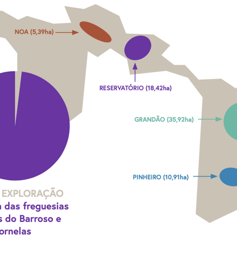 Área de exploração thumbnail image