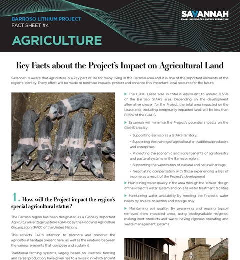 Barroso Lithium Project Fact Sheet – Agriculture thumbnail image