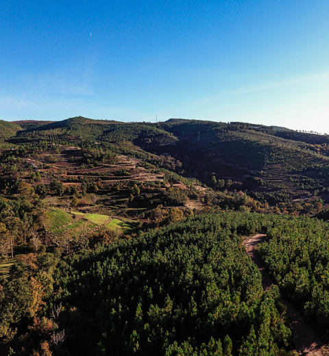 How Savannah Resources Is Transforming Europe's Lithium Supply Chain? thumbnail image