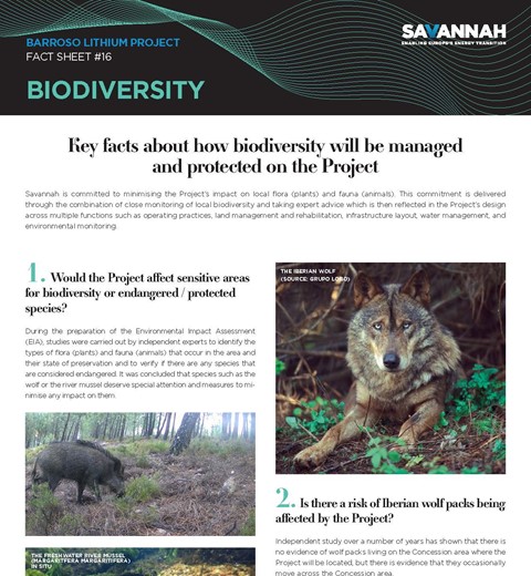 Barroso Lithium Project Fact Sheet – Biodiversity thumbnail image