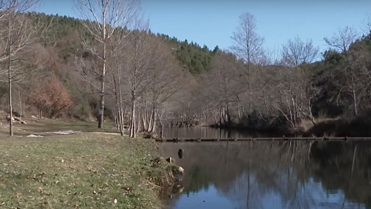 Portugal lithium deposits: Gov't deciding whether to approve mine thumbnail image