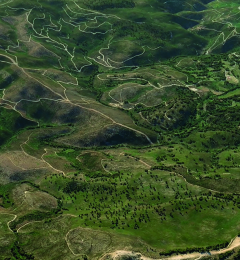 THE GRANDAO PIT, WASTE ROCK FACILITIES, TAILINGS STORAGE FACILITY AND PROCESSING PLANT DURING THE OPERATING PHASE thumbnail image